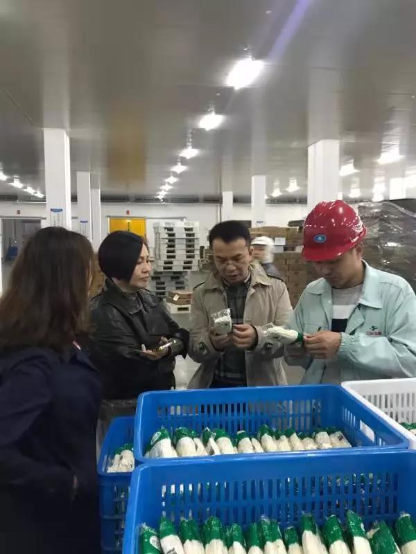 20181116104335_5156.jpg 20181116104335_5156.jpg