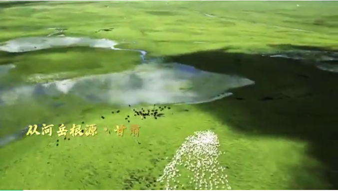 下載.png 下載.png