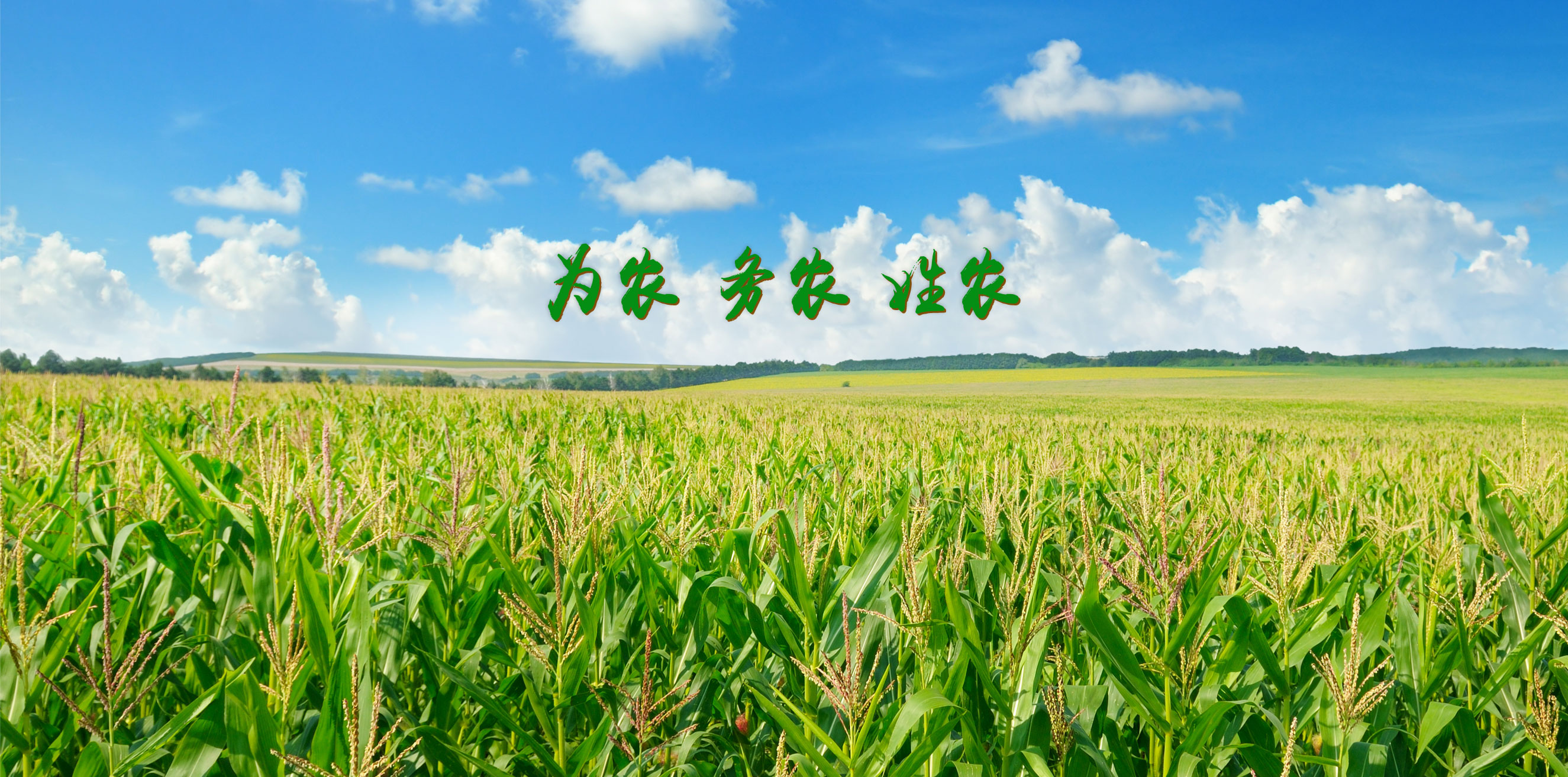 為農(nóng)、務(wù)農(nóng)、姓農(nóng)