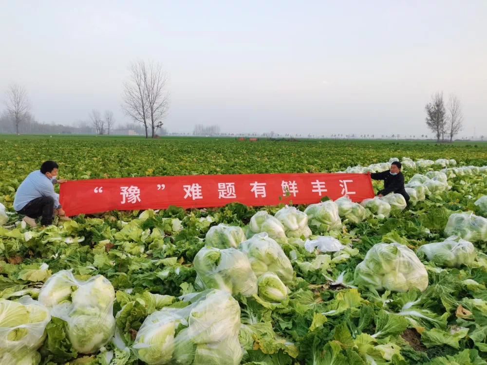 640 (1).png 640 (1).png