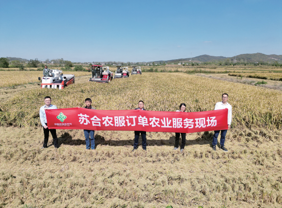 圖片1.png 圖片1.png