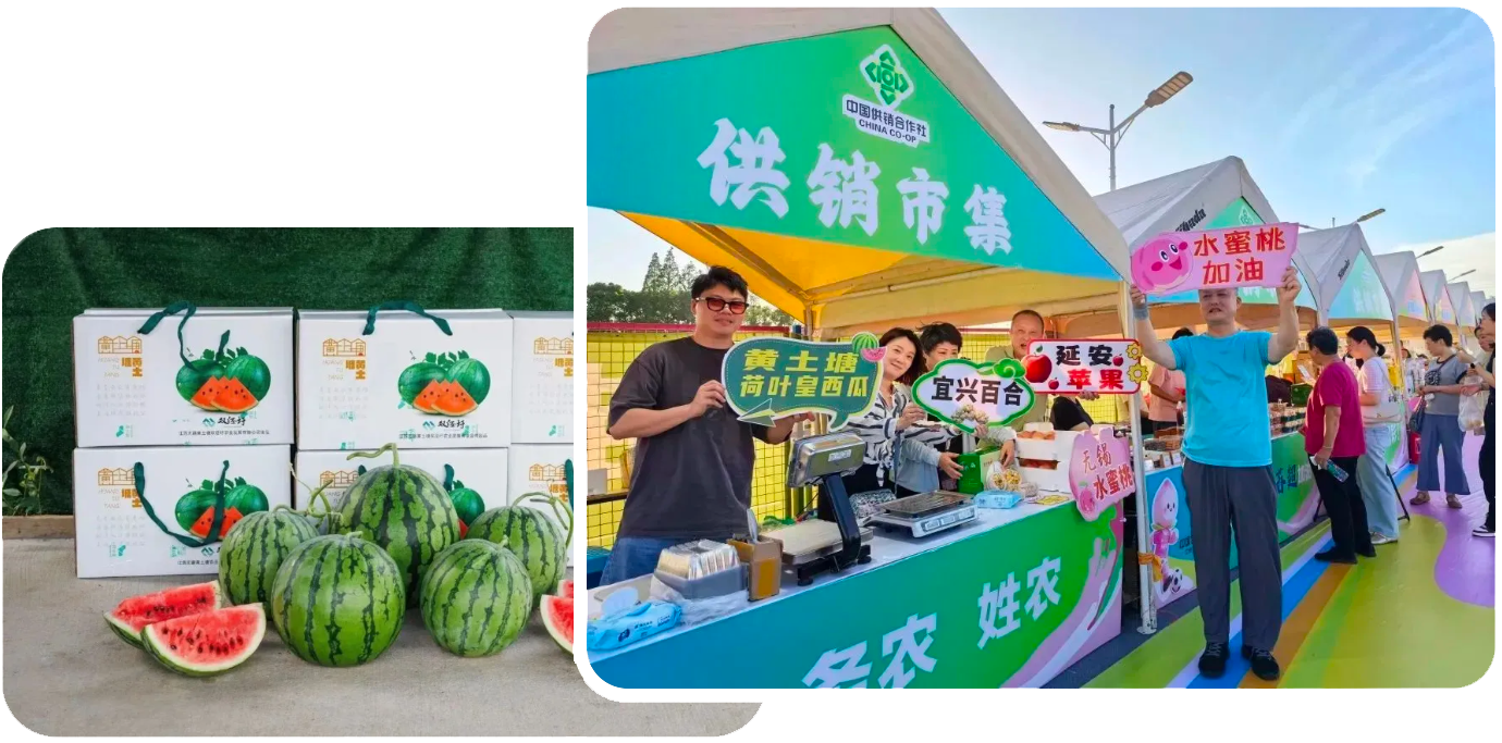 觀賽+逛集+消費(fèi)+助農(nóng) 觀賽+逛集+消費(fèi)+助農(nóng)